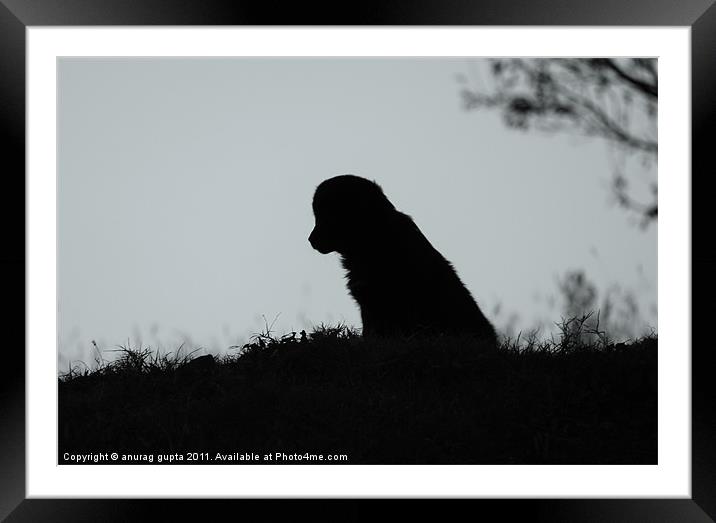 lonesome me Framed Mounted Print by anurag gupta