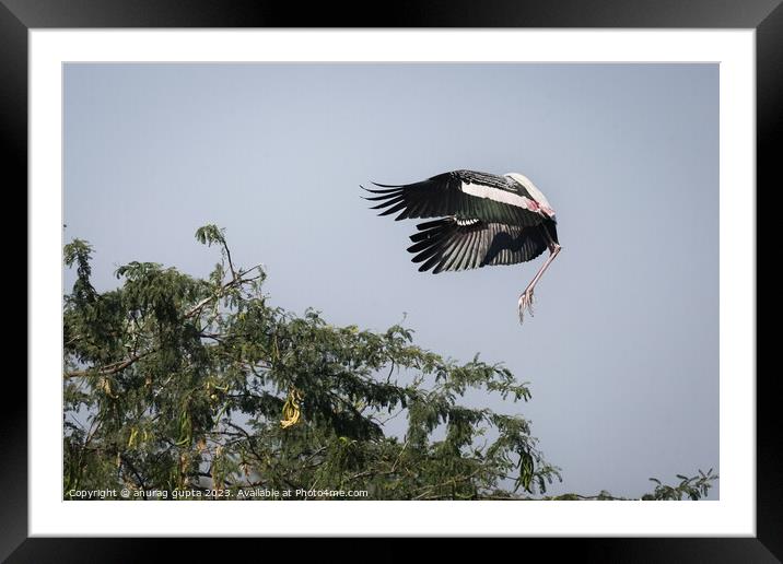 air brakes Framed Mounted Print by anurag gupta