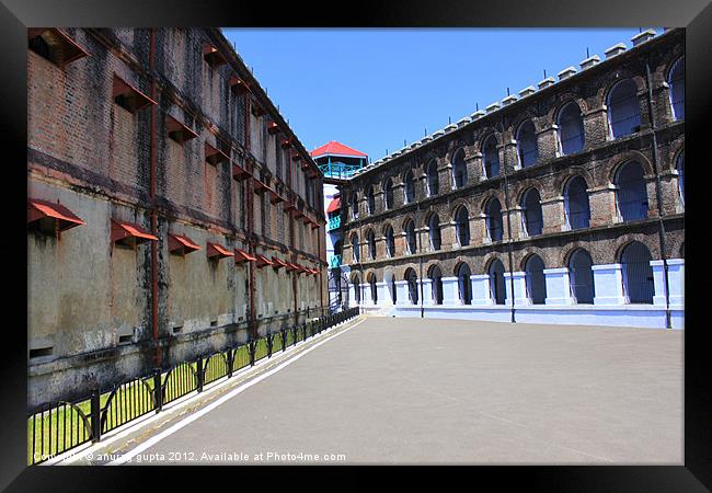 cellular jail Port Blair Framed Print by anurag gupta