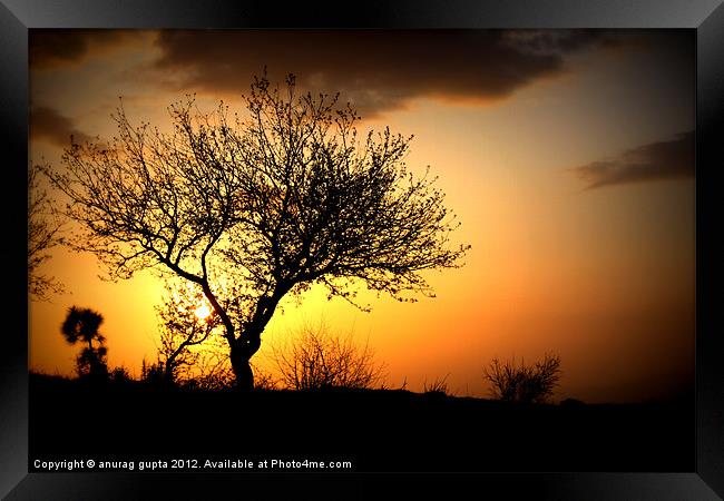 serene sunset Framed Print by anurag gupta
