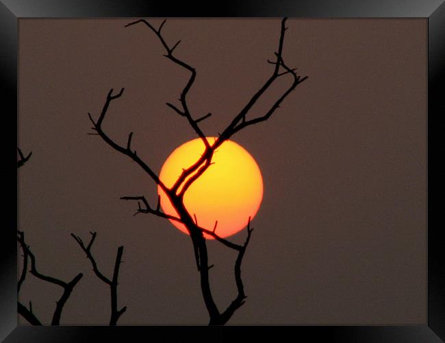 sunset Framed Print by anurag gupta