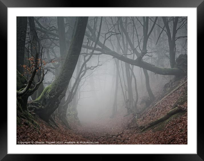 Black Down (South Downs) in Thick Fog Framed Mounted Print by Chester Tugwell