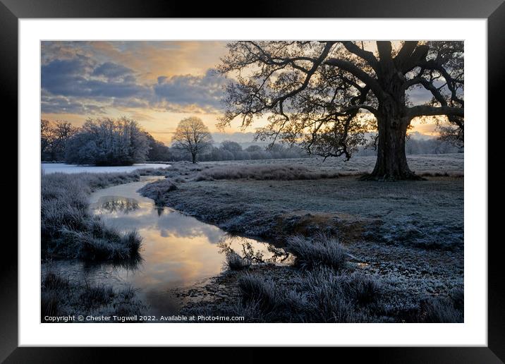 Petworth Park Framed Mounted Print by Chester Tugwell