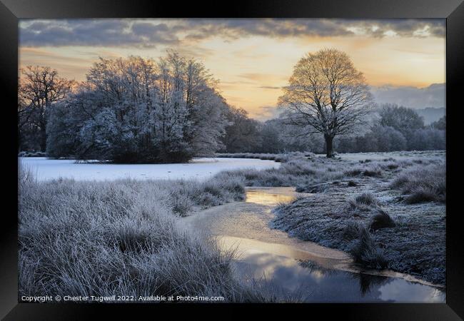 Wintery Morning at Petworth Park Framed Print by Chester Tugwell