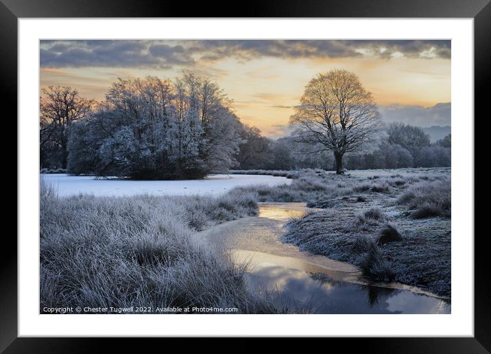 Wintery Morning at Petworth Park Framed Mounted Print by Chester Tugwell