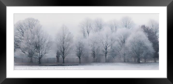 Frost Covered Tree in Petworth Park Framed Mounted Print by Chester Tugwell