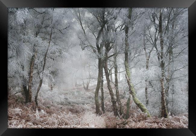 Hoar Frost, Hesworth Common 1 Framed Print by Chester Tugwell