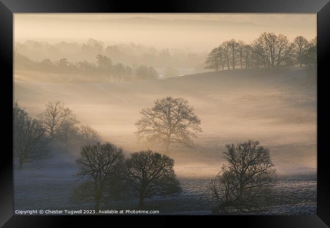 Petworth Park - Winter's Morning  Framed Print by Chester Tugwell