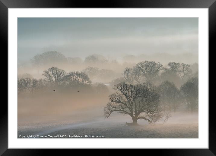 Petworth Park - Winter's Morning  Framed Mounted Print by Chester Tugwell