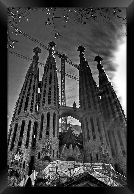 Sagrada Familia Framed Print by sam short