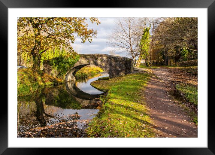 Bridge over the Neath Canal Framed Mounted Print by Peter Thomas
