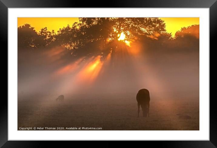 Early morning mist  in the Vale Framed Mounted Print by Peter Thomas
