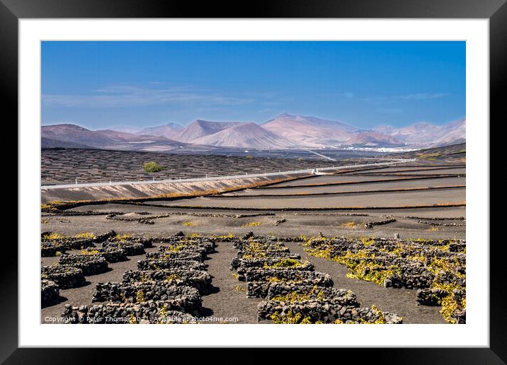 Majestic Volcanic Vineyards Framed Mounted Print by Peter Thomas