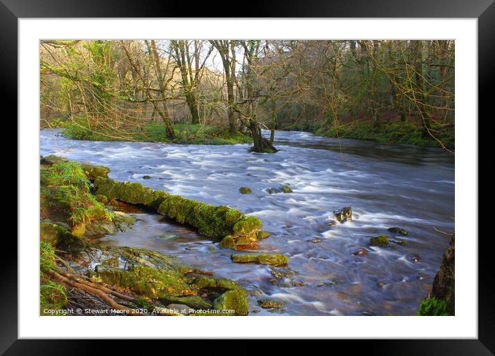 View on the River Dart Framed Mounted Print by Stewart Moore