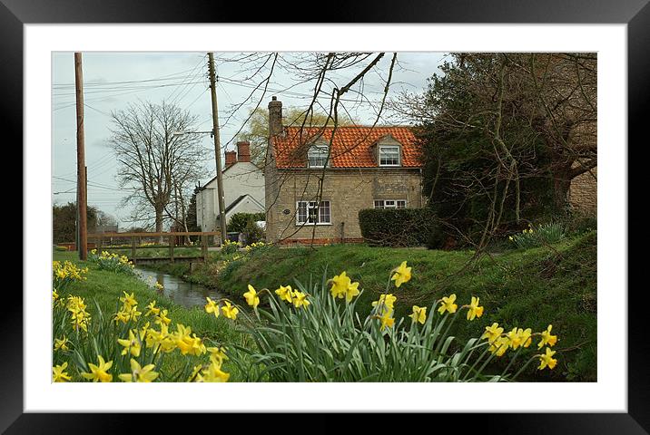 England Springtime  Framed Mounted Print by John Siddle