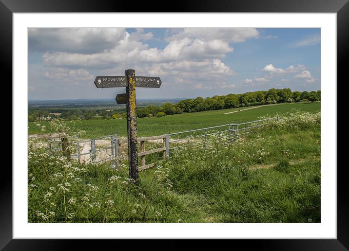 Ridgeway Path Framed Mounted Print by David Buckland
