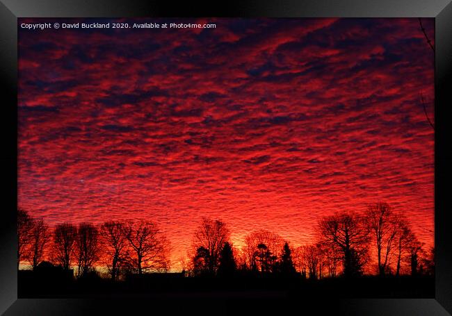 Herringbone Sunrise. Framed Print by David Buckland