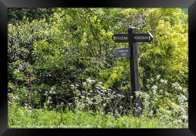 The Ridgeway Path Framed Print by David Buckland