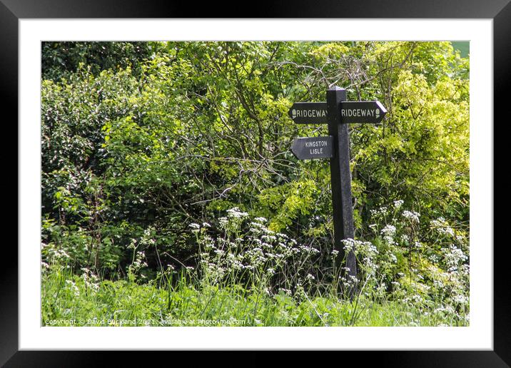 The Ridgeway Path Framed Mounted Print by David Buckland