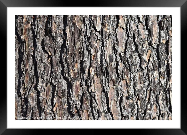 Abstract bark Framed Mounted Print by Rob Barber