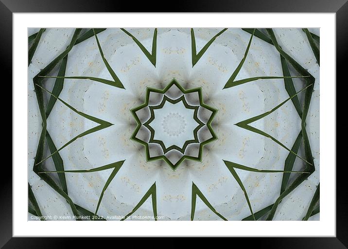 Abstract shape Framed Mounted Print by Kevin Plunkett
