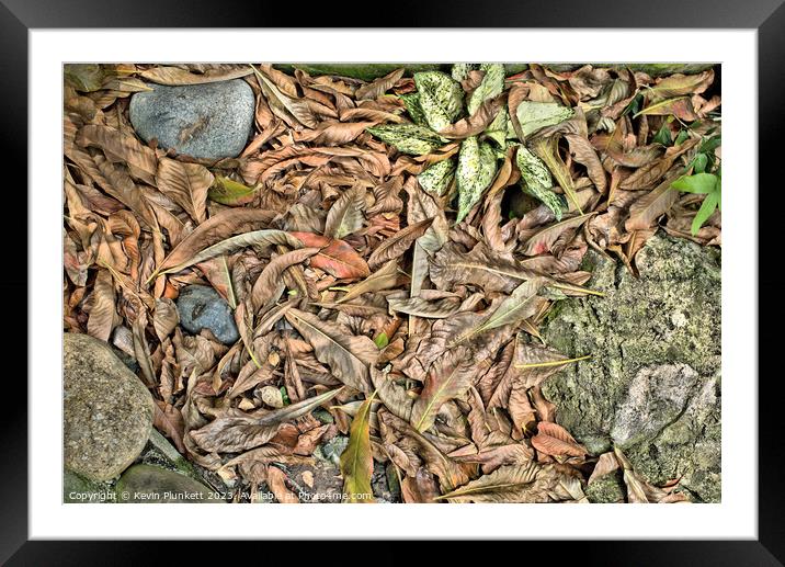 Rocks, leaf's and plants  Framed Mounted Print by Kevin Plunkett