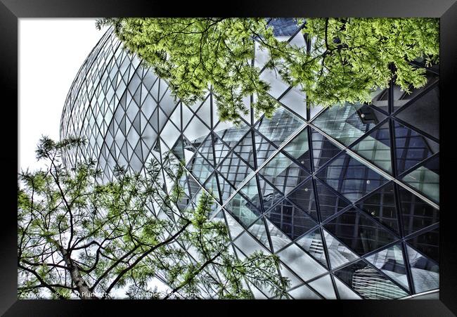 The Gherkin. City of London. Framed Print by Kevin Plunkett
