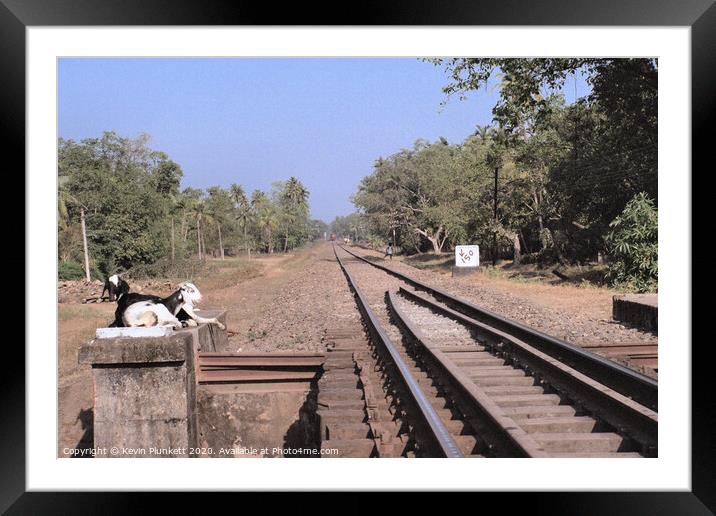 Railway Lines, Margo, Goa Framed Mounted Print by Kevin Plunkett