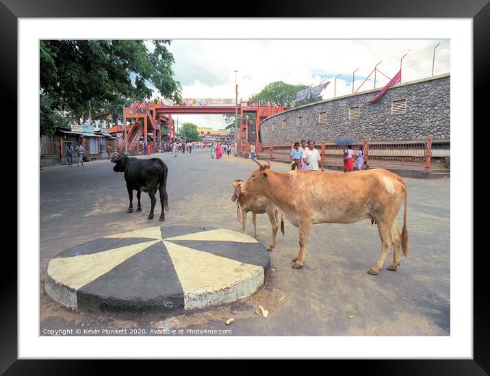 Nuwara Eliya, Sri Lanka Framed Mounted Print by Kevin Plunkett