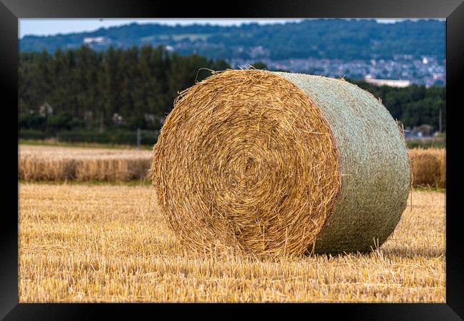 Hay bales Framed Print by Danilo Cattani