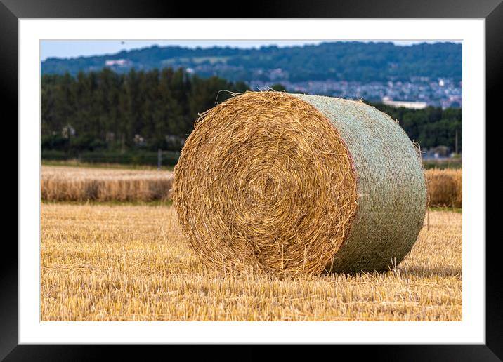 Hay bales Framed Mounted Print by Danilo Cattani