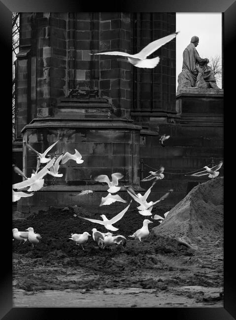 Scott Monument and Pigeons Framed Print by Danilo Cattani