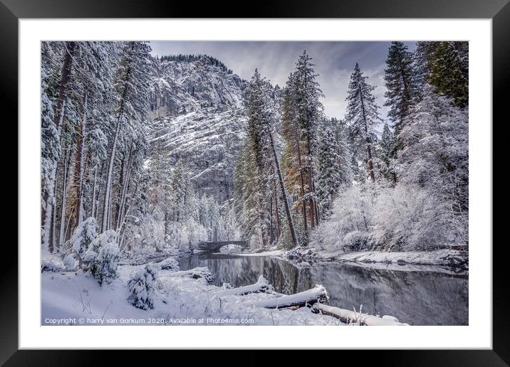 Snow covered trees and bridge over Merced River Yo Framed Mounted Print by harry van Gorkum