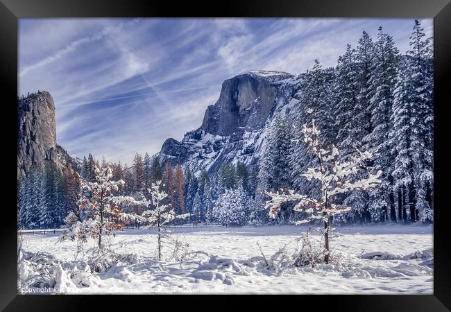 Half Dome in Yosemite in snow with fall trees in t Framed Print by harry van Gorkum