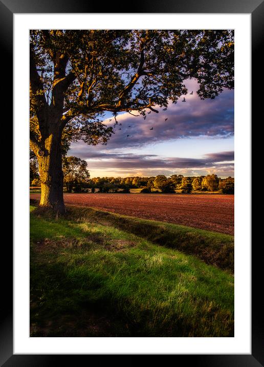 Suffolk Rural Sunset near Harkstead Framed Mounted Print by Gary Sanford