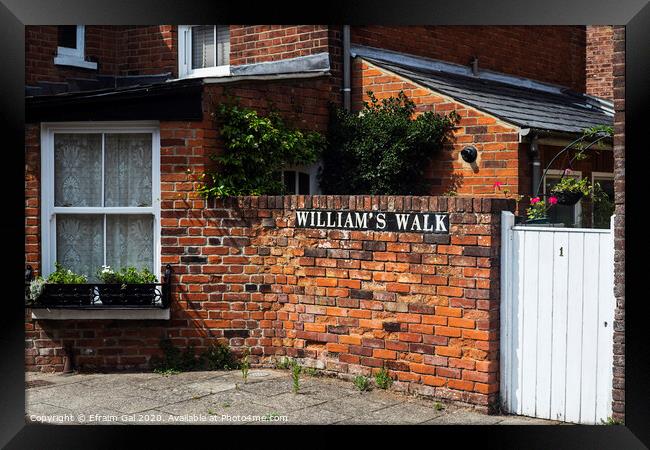 William's walk Colchester Framed Print by Efraim Gal