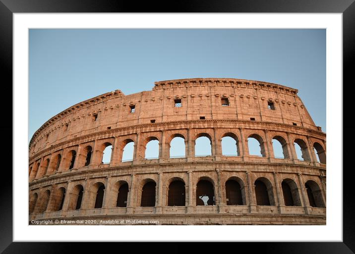 Colosseum of Rome Framed Mounted Print by Efraim Gal