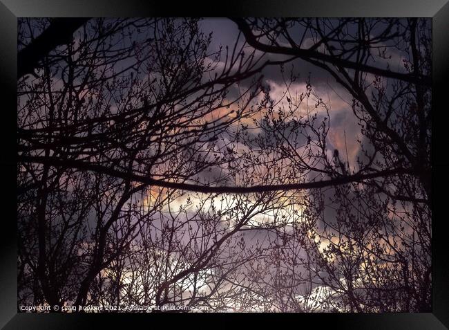 Abstract sunset through the trees Framed Print by craig hopkins