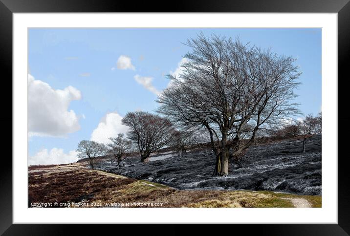 3 trees on a path to nowhere Framed Mounted Print by craig hopkins