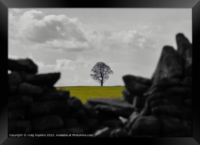 Lonely Tree Framed Print by craig hopkins