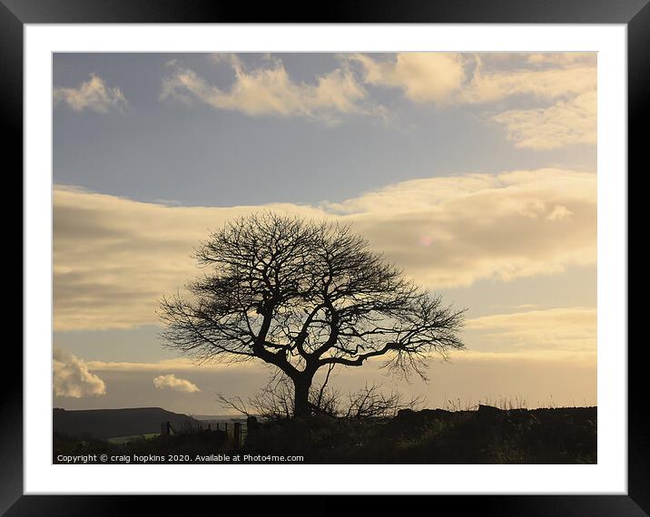 Plant tree Framed Mounted Print by craig hopkins