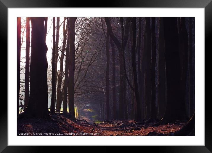 Shady woodland path Framed Mounted Print by craig hopkins