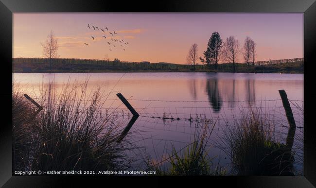 Secret Lake at Sunset Framed Print by Heather Sheldrick