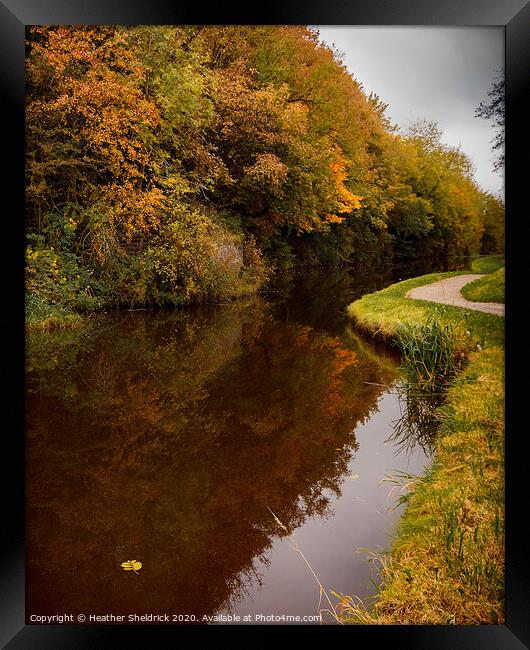 Autumnal trees reflected in canal Framed Print by Heather Sheldrick