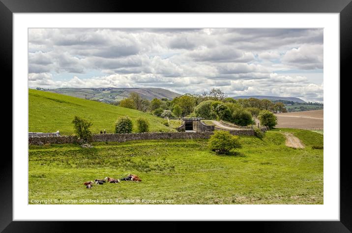 Pendle Hill with Leeds and Liverpool canal in foreground Framed Mounted Print by Heather Sheldrick