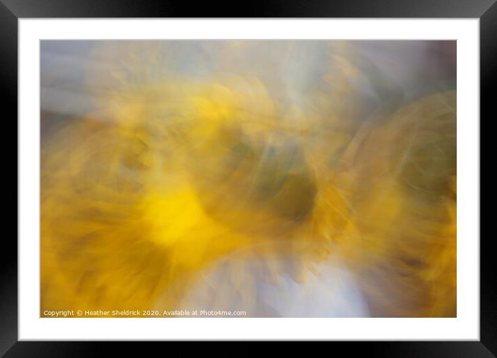 Abstract Sunflowers In Motion Framed Mounted Print by Heather Sheldrick