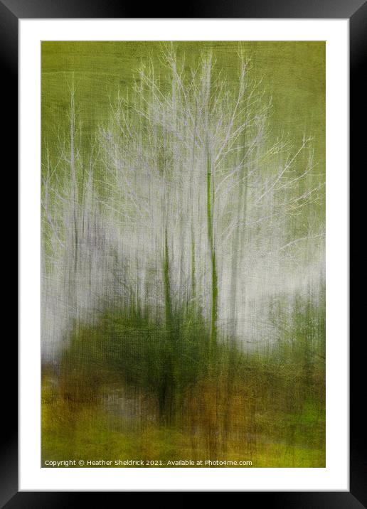 Abstract Winter Trees Framed Mounted Print by Heather Sheldrick