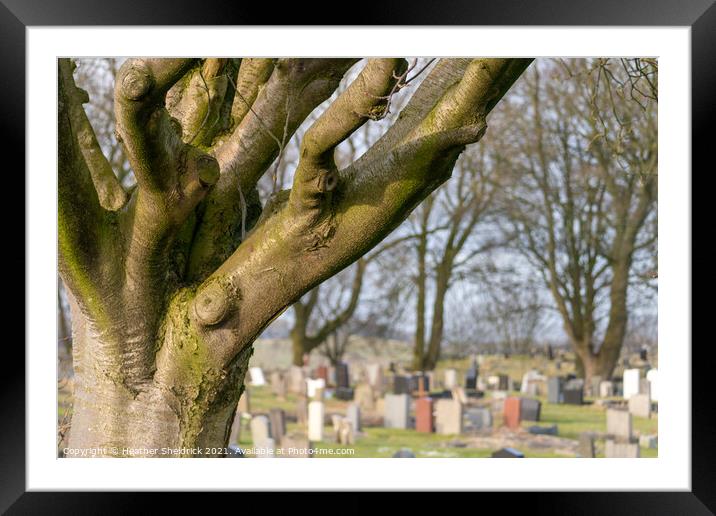 Cemetery with tree Framed Mounted Print by Heather Sheldrick