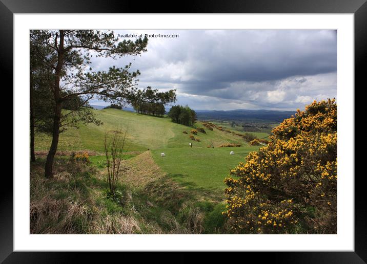 Golf course in Wales Framed Mounted Print by Peter Ekin-Wood