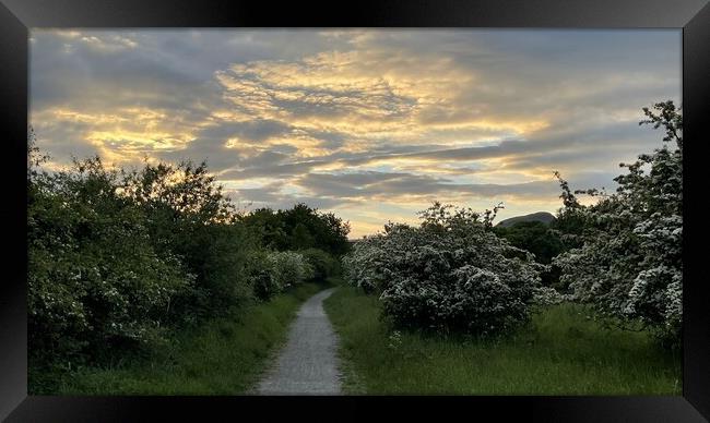 Path to light  Framed Print by Graham Mathieson